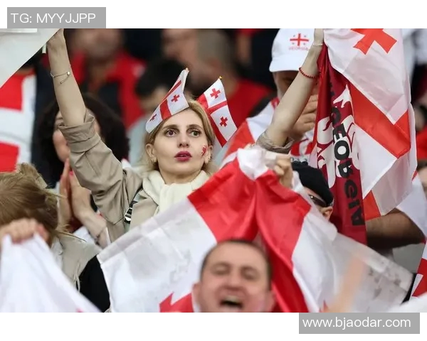 欧洲杯球迷支持与主场优势关系研究 欧洲杯球迷支持与主场优势关系研究